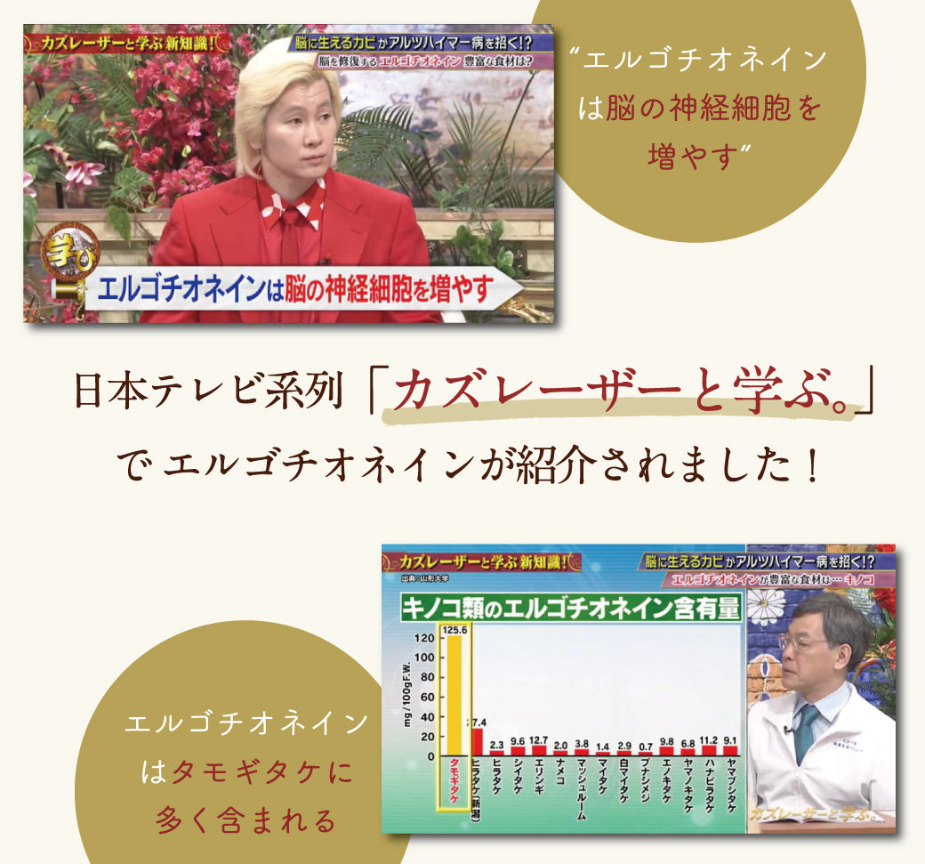 タモギダケサプリ 記憶の番人(120粒)