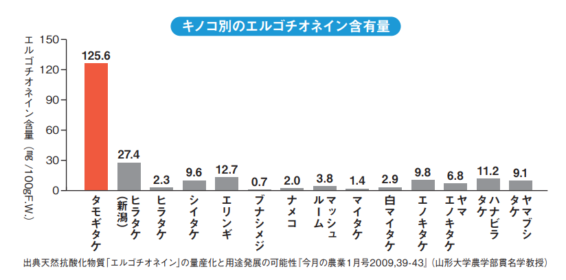 タモギダケサプリ 記憶の番人(120粒)