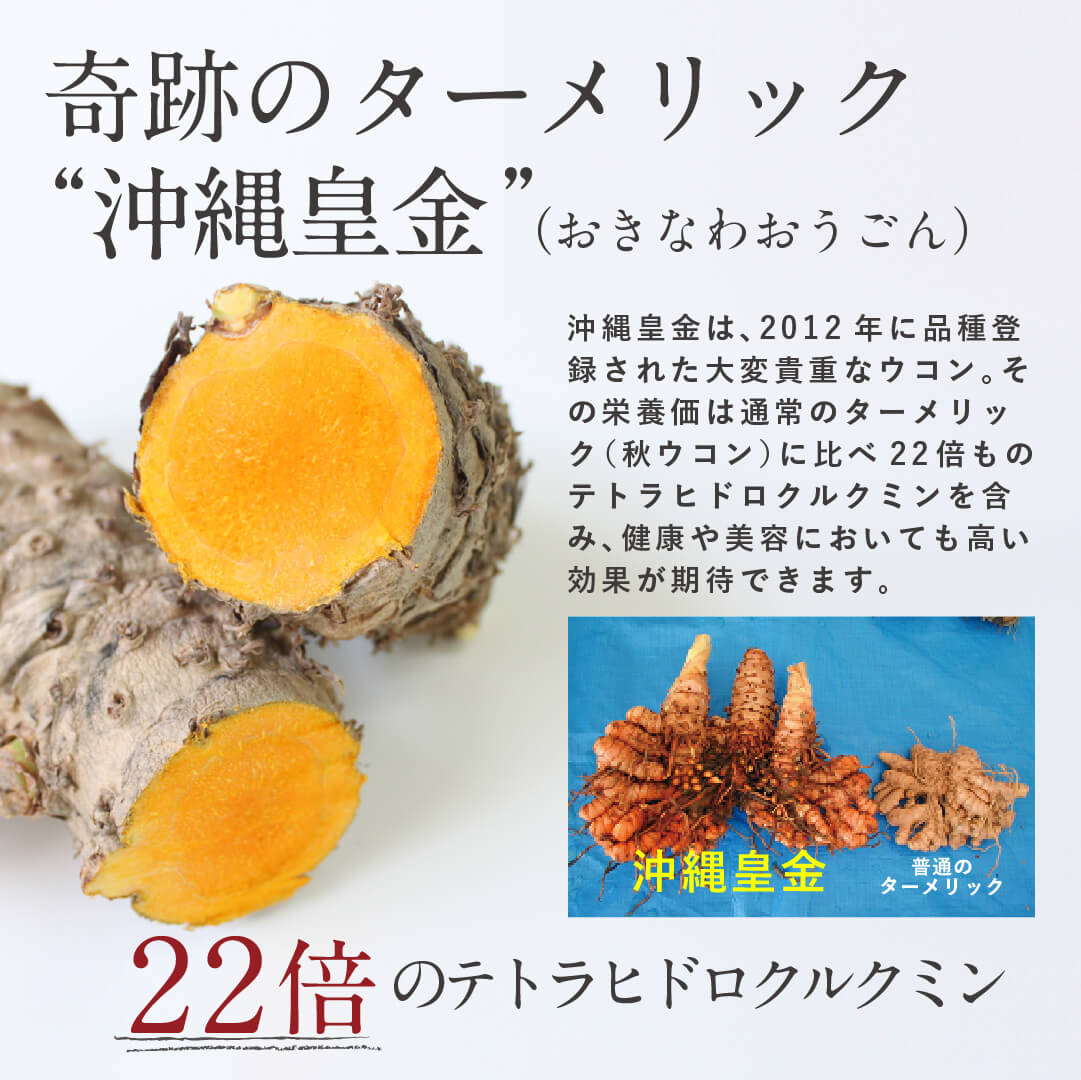 natoha 100%沖縄産 黒人参茶 クレンズ(10包入)