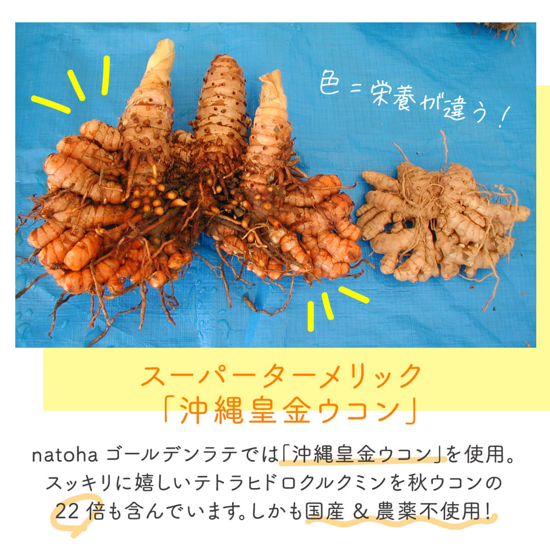natoha 純国産 ゴールデンラテ(100g:20杯分)