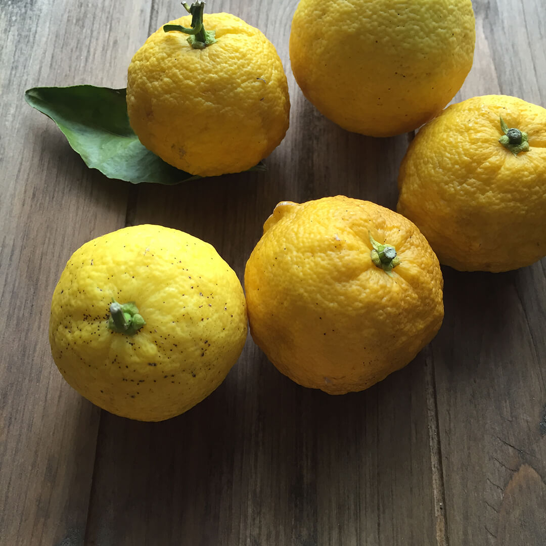WILD YUZU ゆずモイスチャークリーム(50g)