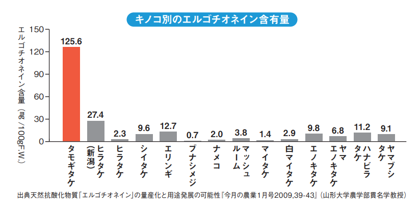 タモギダケサプリ 記憶の番人（120粒）