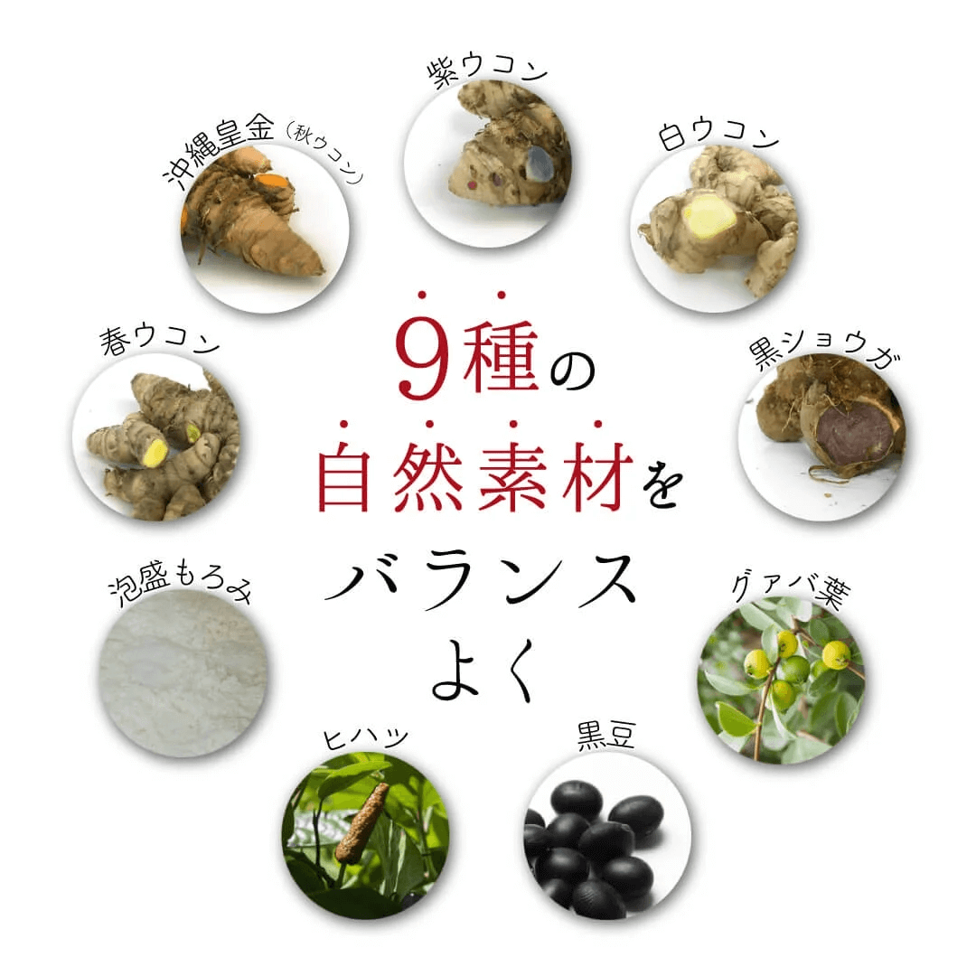 SAKEKING 4種の沖縄県産無農薬ウコン×5種の壮健素材