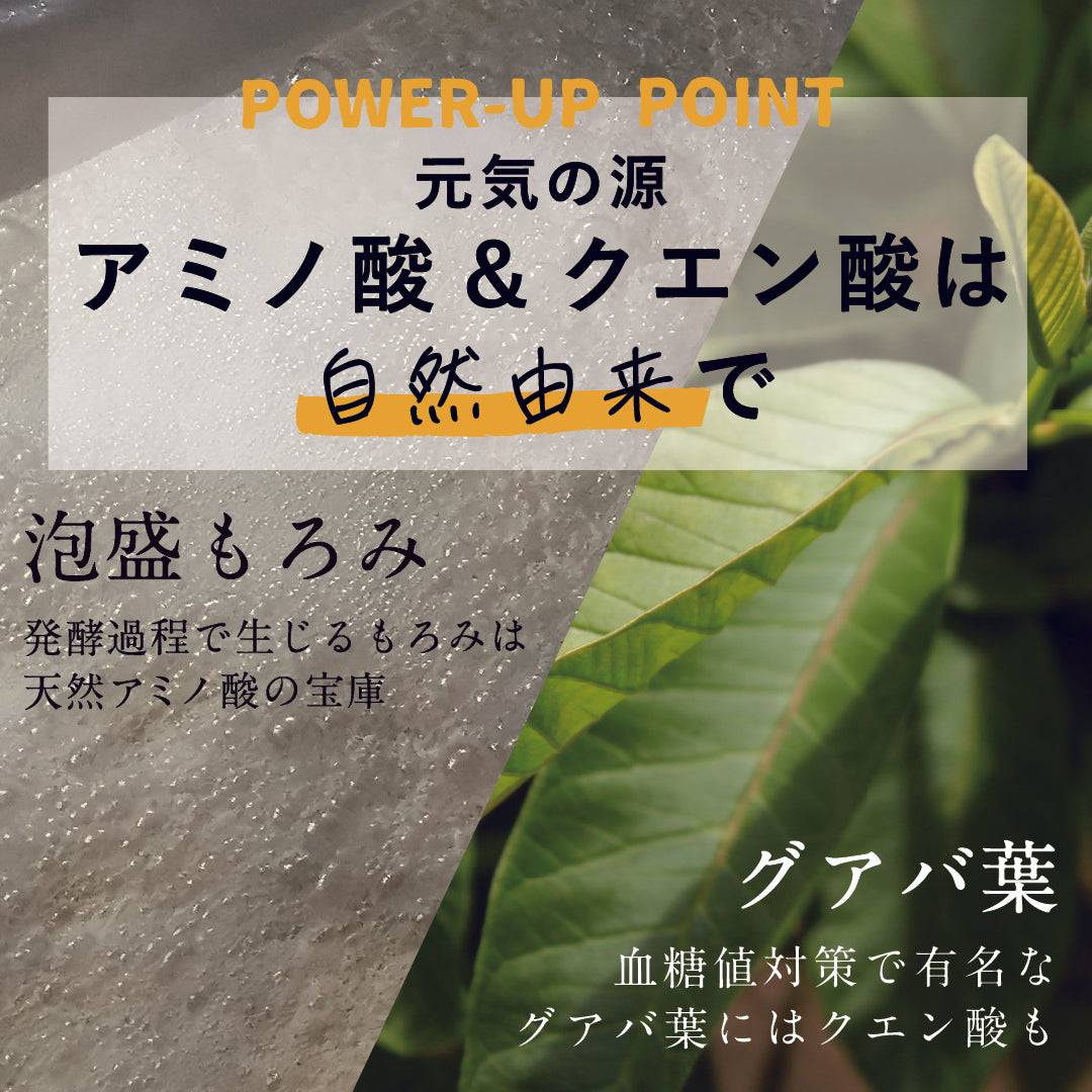 SAKEKING 4種の沖縄県産無農薬ウコン×5種の壮健素材